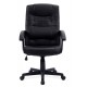 Darwin High Back Leather Executive Office Chair